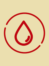 Doe Sangue