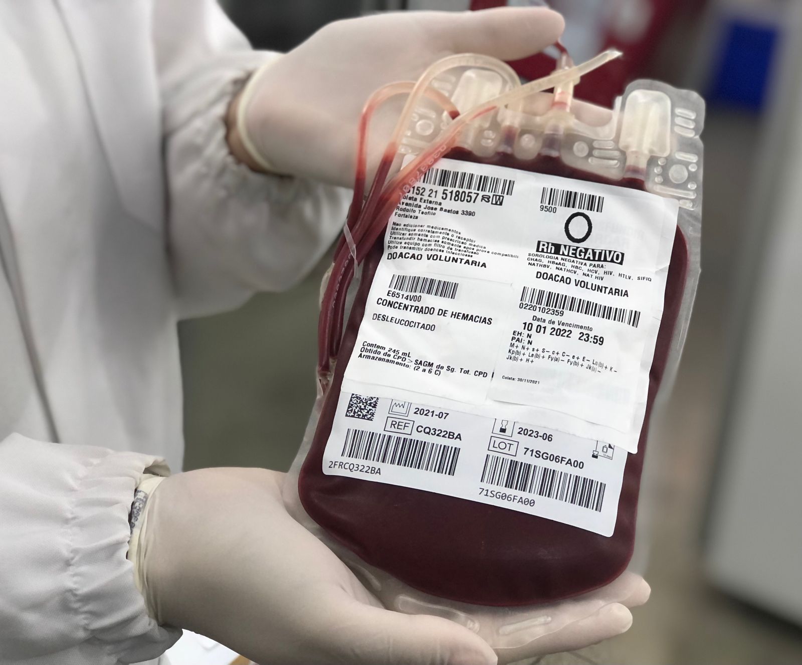 Hemoce realiza evento online sobre hemovigilância em parceira com Ebserh