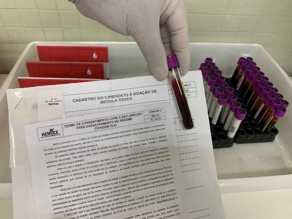 Hemoce reforça importância da atualização do cadastro na Semana de Mobilização para Doação de Medula Óssea