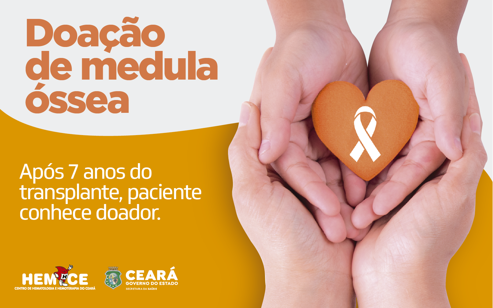 Medula óssea: pela 2ª vez neste mês, Hemoce promove encontro de doador com receptora